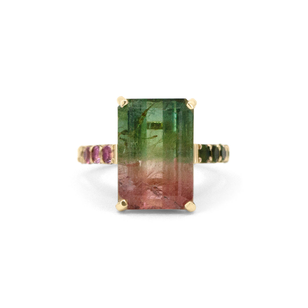 Watermelon Sugar Ring - Large, Single Row Style
