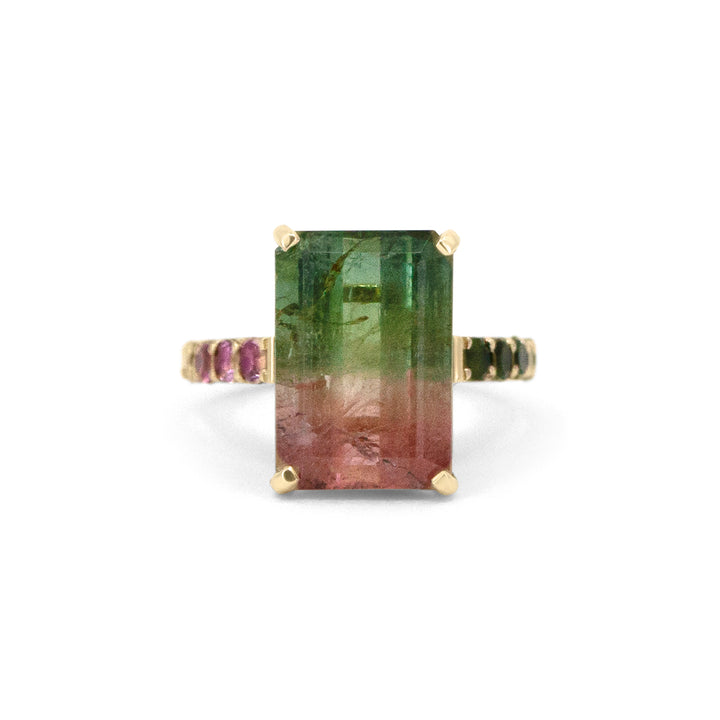 Watermelon Sugar Ring - Large, Single Row Style