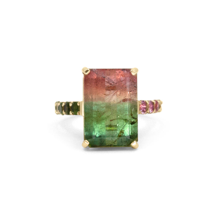 Watermelon Sugar Ring - Large, Single Row Style