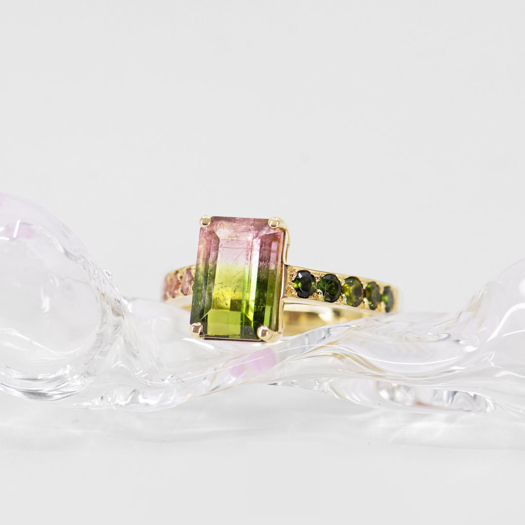 Watermelon Sugar Ring - Medium, Single Row Style