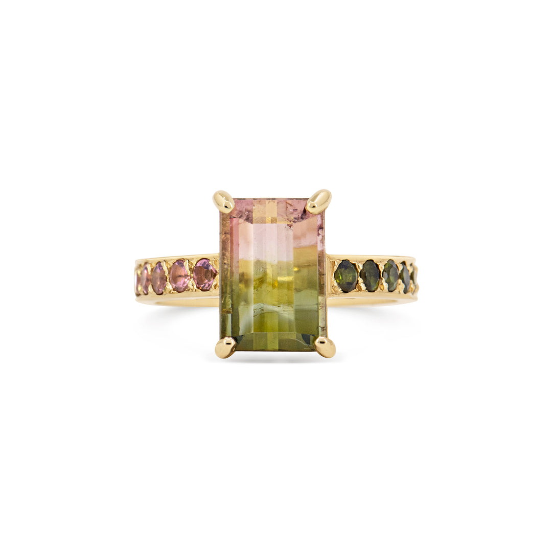 Watermelon Sugar Ring - Medium, Single Row Style
