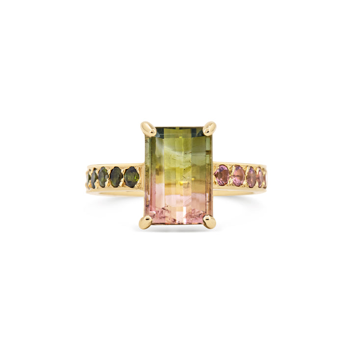 Watermelon Sugar Ring - Medium, Single Row Style