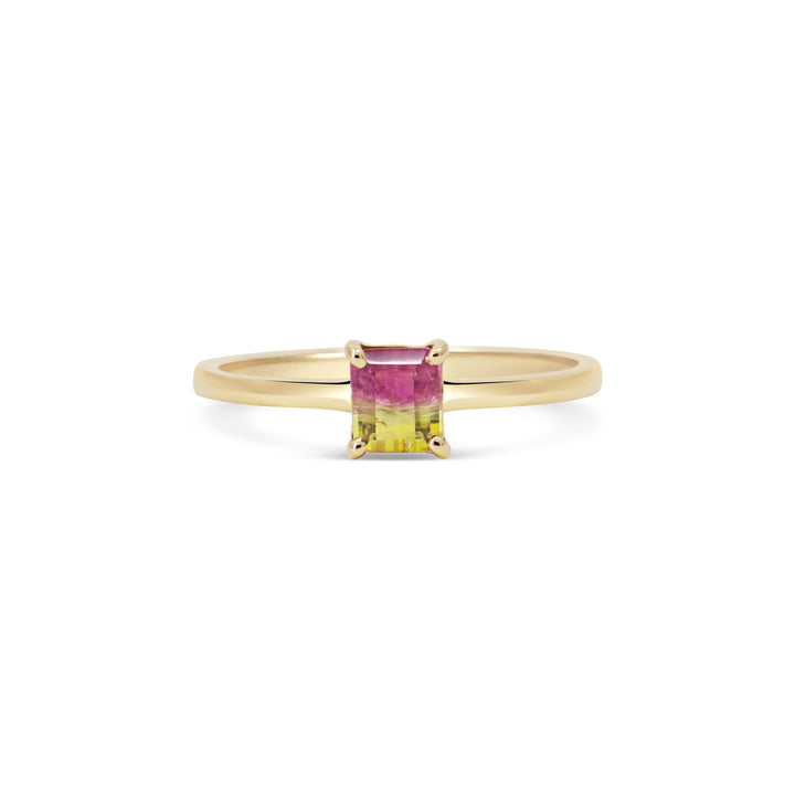 Watermelon Sugar Ring - Smooth Band - Mini