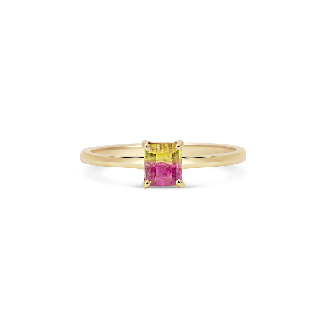 Watermelon Sugar Ring - Smooth Band - Mini