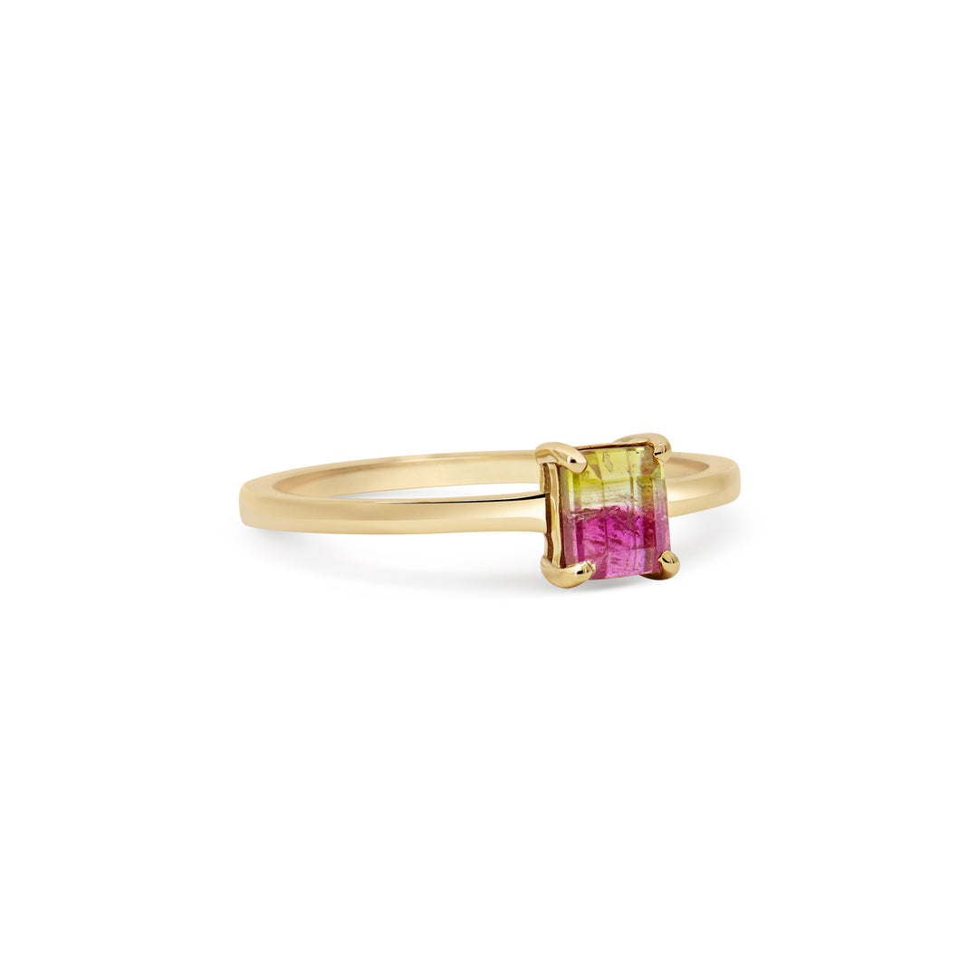 Watermelon Sugar Ring - Smooth Band - Mini