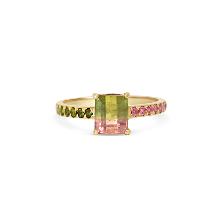 Watermelon Sugar Ring - Small, Single Row Style