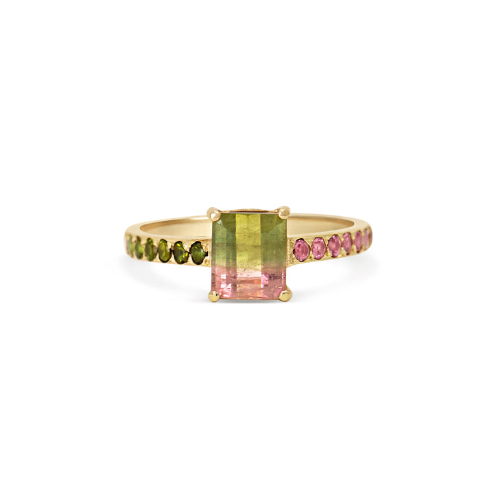 Watermelon Sugar Ring - Small, Single Row Style