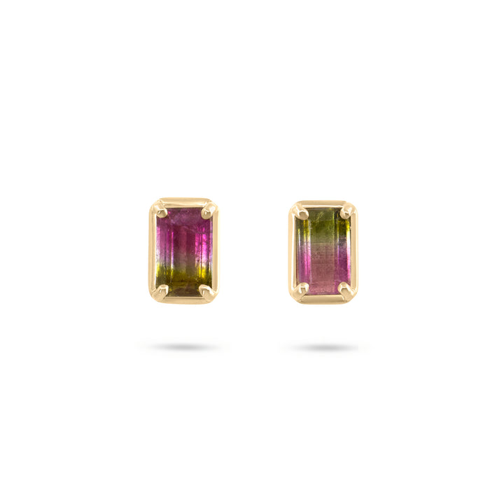 Watermelon Sugar Mini Stud