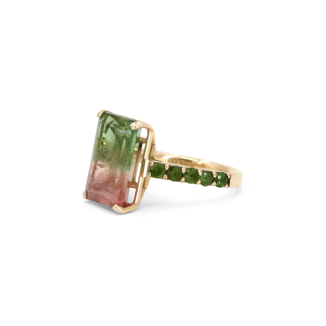 Watermelon Sugar Ring - Large, Single Row Style